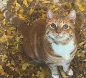 Picture for category Sweater Weather